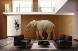 How do you navigate operational change when there's an elephant in the room? 